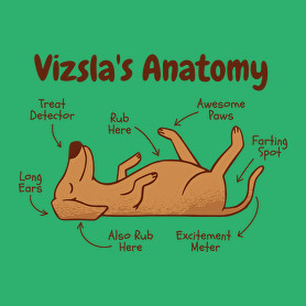 Vizsla anatómia-Férfi póló