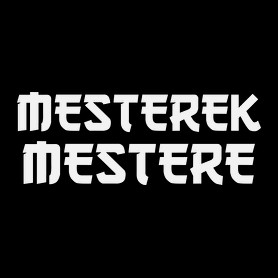 MESTEREK MESTERE-Férfi póló