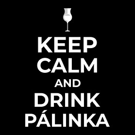 DRINK PÁLINKA-Férfi póló