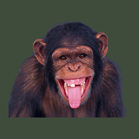 Funny Chimpanzee-Férfi póló