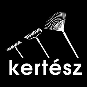 Kertész-Férfi póló