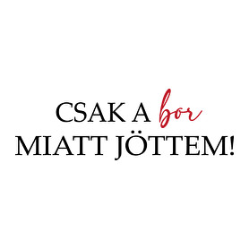 Csak a BOR miatt jöttem!-Férfi póló