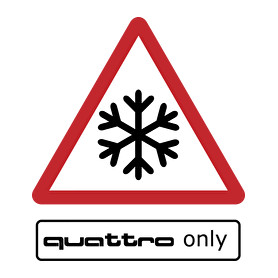 Quattro only-Férfi póló