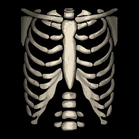 csontváz 3-Férfi póló