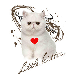 little kitten-Férfi póló