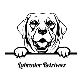 Labrador Retriver-Férfi póló