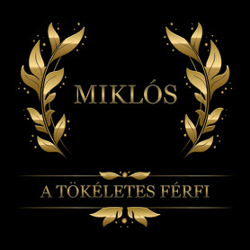 Miklós-Férfi póló