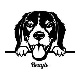 Beagle-Férfi póló