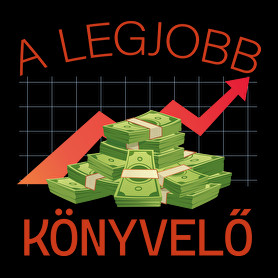 A legjobb könyvelő-Férfi V-nyakú póló