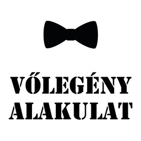 vőlegény alakulat-Férfi V-nyakú póló