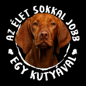 Magyar Vizsla-Férfi V-nyakú póló