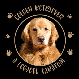 Golden retriever - Legjobb barátom-Férfi V-nyakú póló