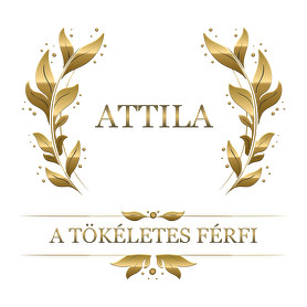 Attila-Férfi V-nyakú póló