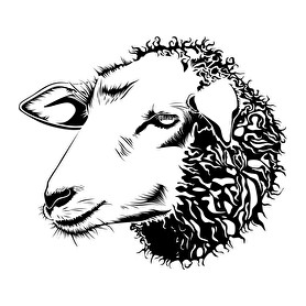 Sheep drawing-Férfi V-nyakú póló