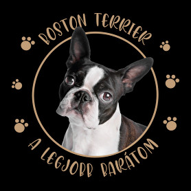 Boston terrier - Legjobb barát-Férfi V-nyakú póló