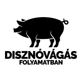 Disznóvágás folyamatban-Férfi V-nyakú póló