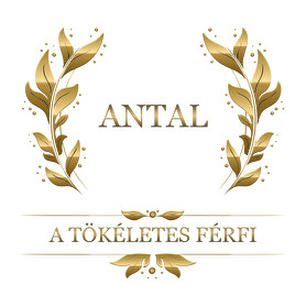 Antal-Férfi V-nyakú póló