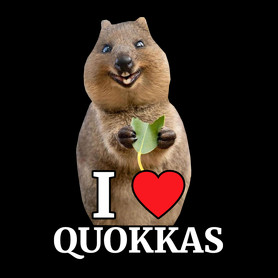 I love quakkas!-Női pulóver