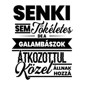 Senki sem tökéletes - Galambász-Női pulóver