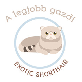 A legjobb gazdi - Exotic shorthair-Női pulóver