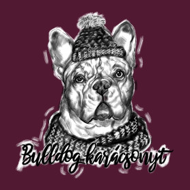 bulldog karácsonyt-Női pulóver