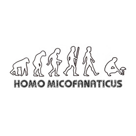 Homo micofanaticus (világos)-Női pulóver