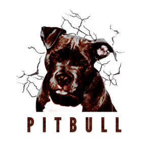 Pitbull-Női pulóver