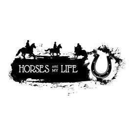 Horses are my life -  Fekete-fehér-Női pulóver