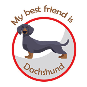 My best friend - Dachshund-Női pulóver