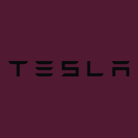 TESLA felirat-Női pulóver