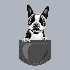 Boston Terrier - zseb-Női atléta