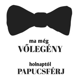 Ma még vőlegény holnaptól papucsférj-Férfi hosszú ujjú póló