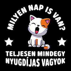 Milyen nap is van?-Férfi hosszú ujjú póló