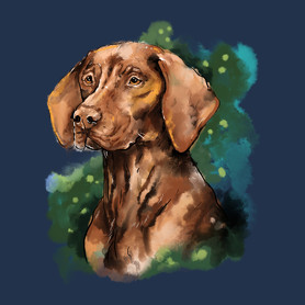 vizsla watercolor-Férfi hosszú ujjú póló