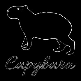 Capybara -Férfi hosszú ujjú póló