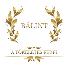 Bálint-Férfi hosszú ujjú póló