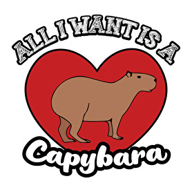 All I want is a capybara-Sportzsák, Tornazsák