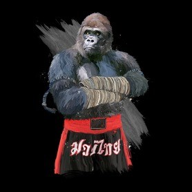 Gorilla thai box-Férfi atléta