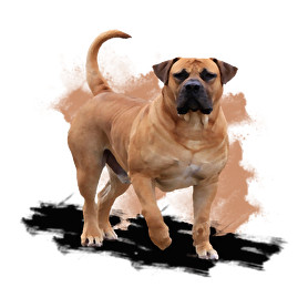 Bullmastiff-Férfi atléta