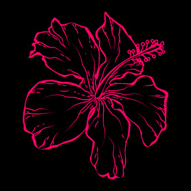 hibiscus -Férfi atléta