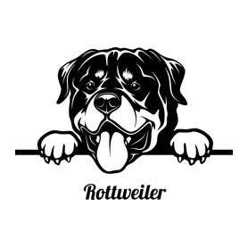 Rottweiler-Férfi atléta