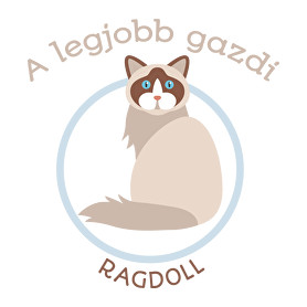 A legjobb gazdi - Ragdoll-Férfi atléta