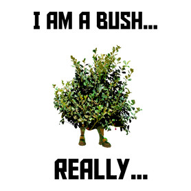 I am a Bush-Férfi atléta