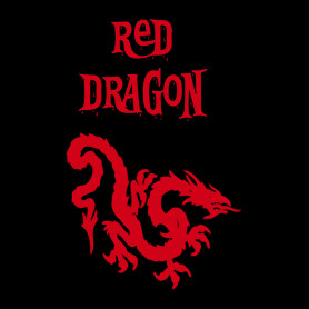 red dragon2-Gyerek pulóver