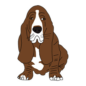 Basset hound-Gyerek pulóver