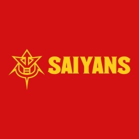 SAIYANS-Gyerek pulóver