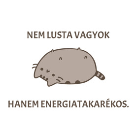 Nem lusta vagyok, csak energiatakarékos.-Gyerek pulóver