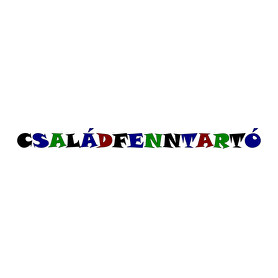 Családfenntartó - színes-Női póló