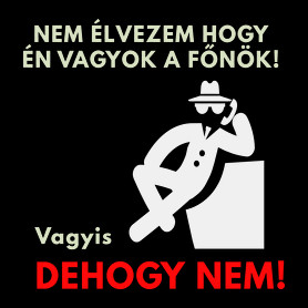 NEM ÉLVEZEM HOGY ÉN VAGYOK A FŐNŐK-Női póló