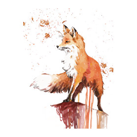 Painted Fox-Női póló